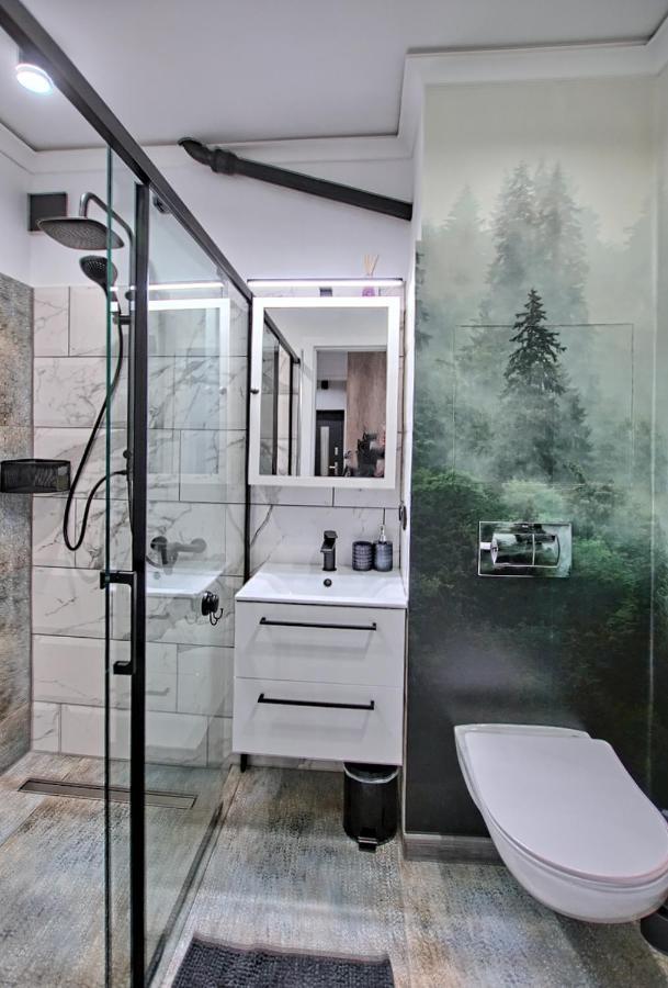 Apartment Lipova *